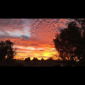 Meet your Posher, Avry